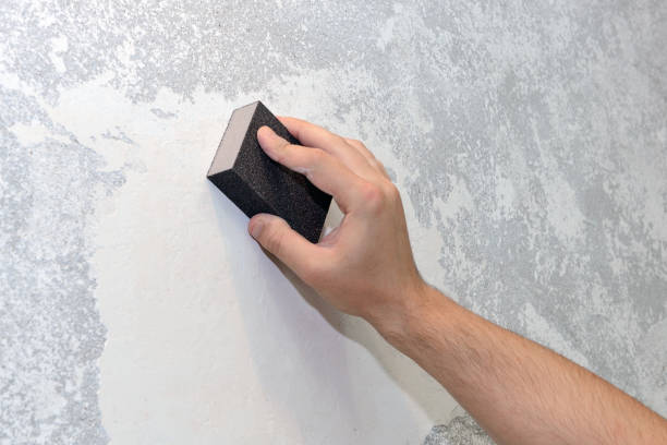 Best Crawl Space Mold Remediation  in Hope, IN