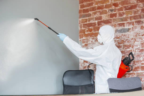 Best Mold Remediation for Healthcare Facilities  in Hope, IN