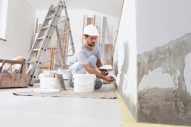 Mold Documentation for Insurance Claims in Hope, IN