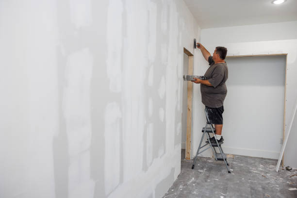 Best Mold Damage Restoration  in Hope, IN