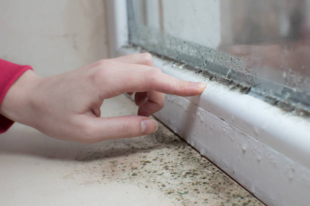 Best Air Quality Testing for Mold Spores  in Hope, IN