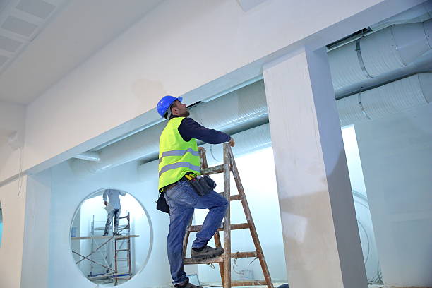 Best Crawl Space Mold Remediation  in Hope, IN